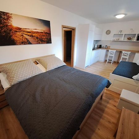 Apartmany - Male Lipno Černá v Pošumaví Екстериор снимка