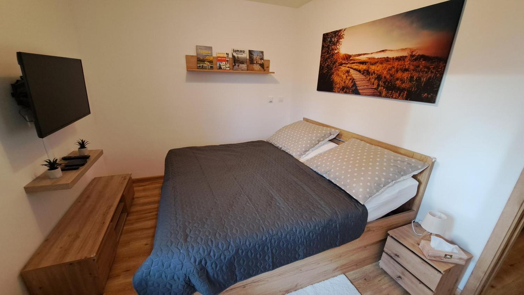 Apartmany - Male Lipno Černá v Pošumaví Екстериор снимка