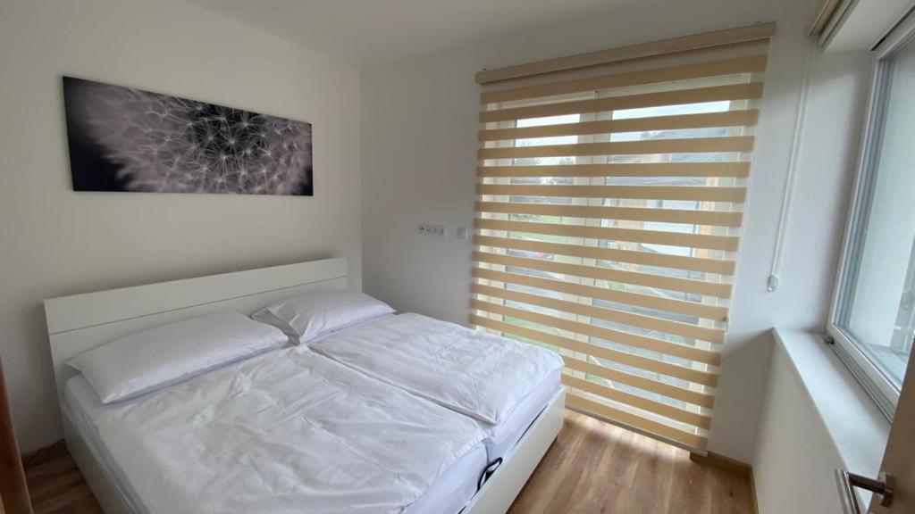 Apartmany - Male Lipno Černá v Pošumaví Екстериор снимка