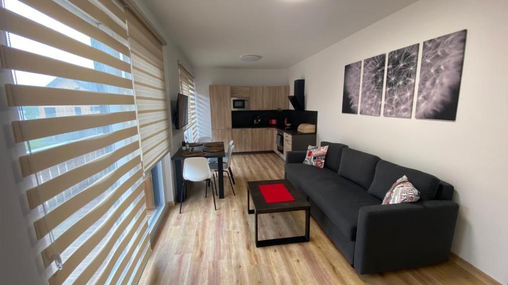 Apartmany - Male Lipno Černá v Pošumaví Екстериор снимка